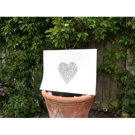 Cuore della mia famiglia