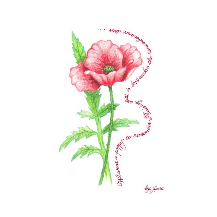 Remembrance Poppy