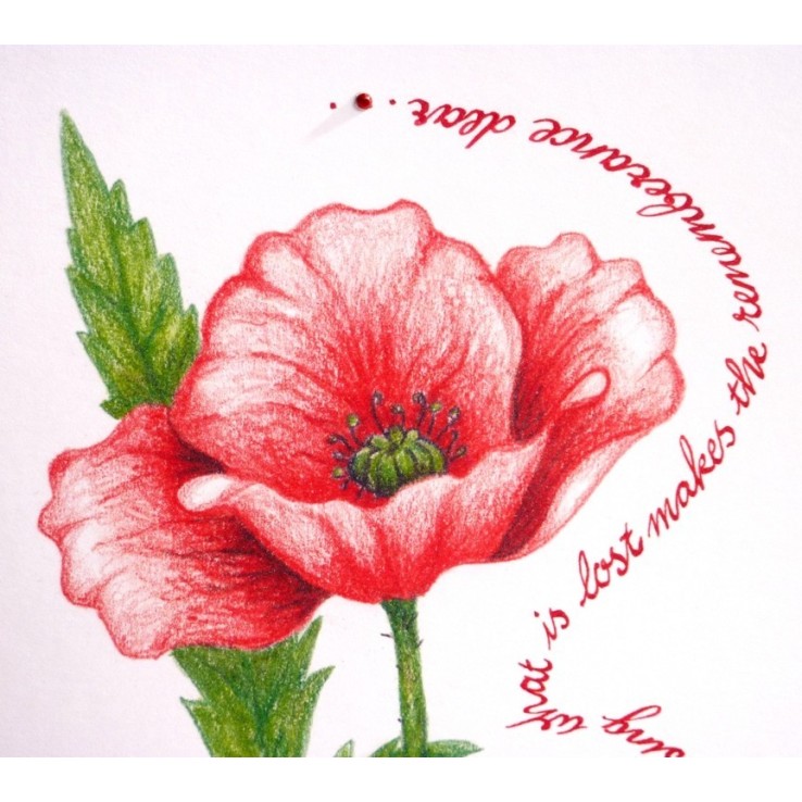 Gedenktag - Mohn