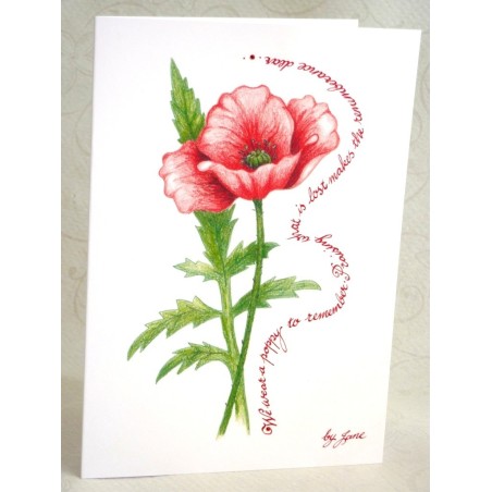 Remembrance Poppy