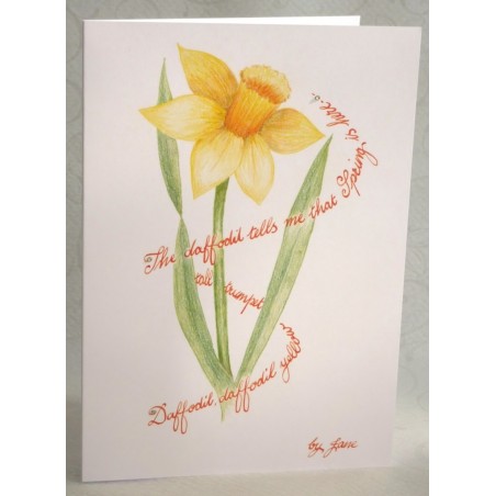 Spring Daffodil