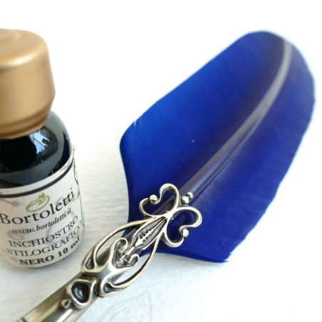 Gås fjäder penna, två tips och bläck