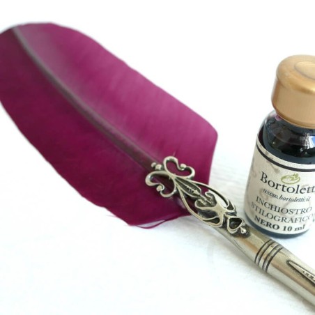 Feather Dip Pen 2 nibs and Ink