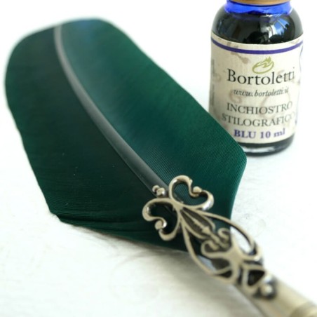 Ganzenveren pen, twee tips en inkt