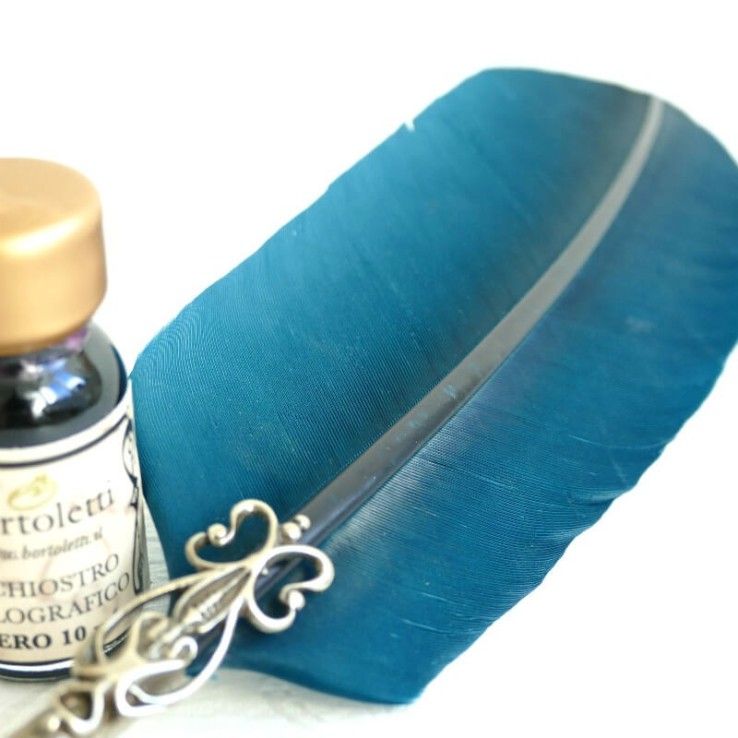 Plume d'oie, deux pointes et encre