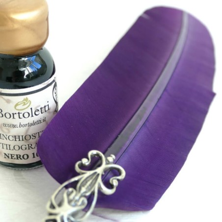 Gås fjäder penna, två tips och bläck