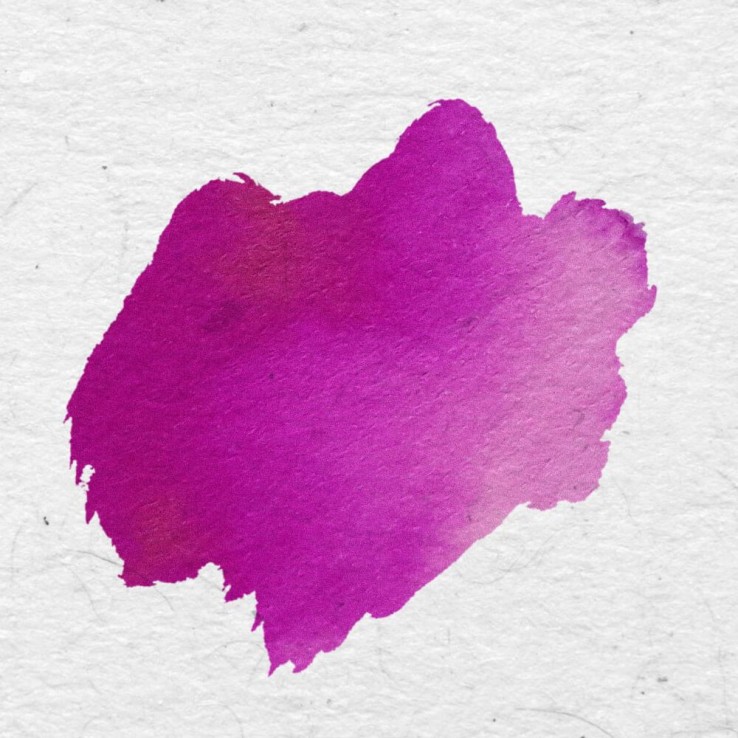 Inchiostro fucsia per calligrafia italiana - Hamburg Artemisia