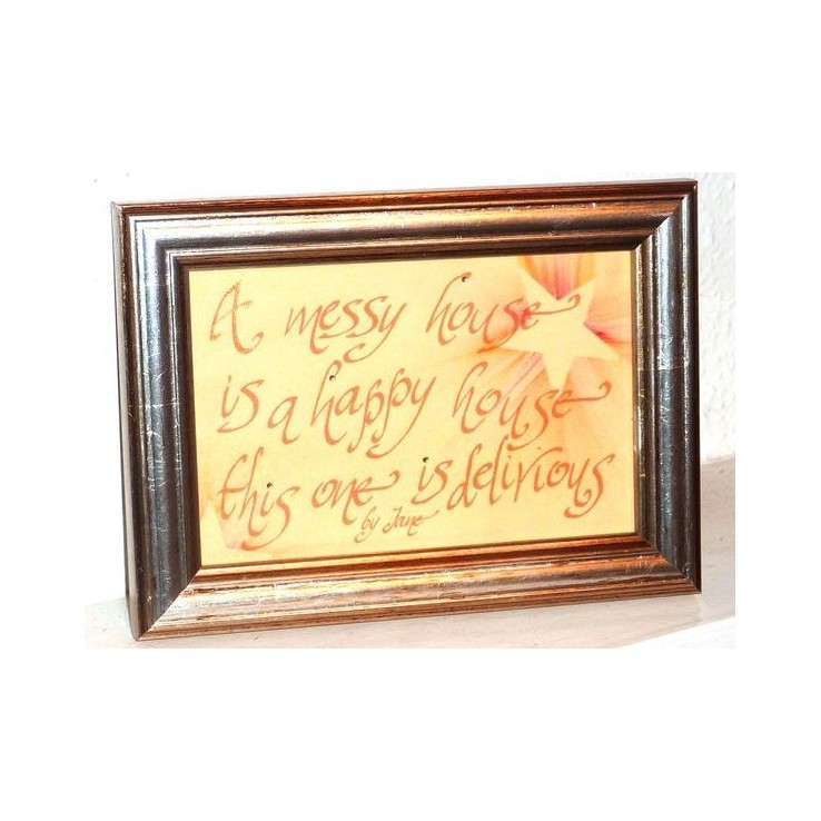 La mia casa disordinata sta delirando