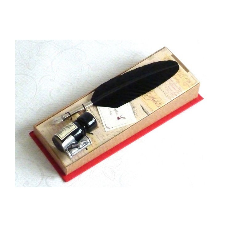 Zwarte veer kalligrafiepen - klein